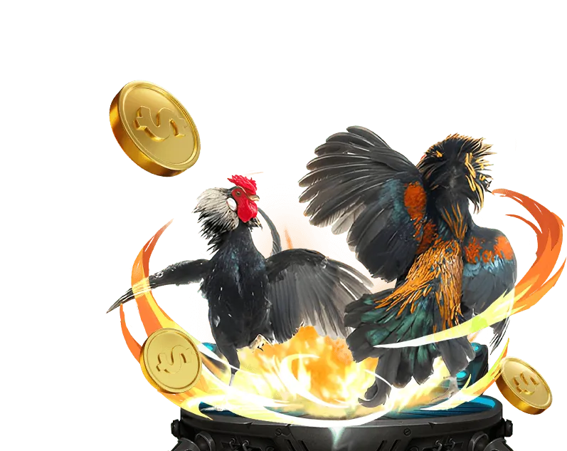 Các loại trò chơi đa dạng tại zubet